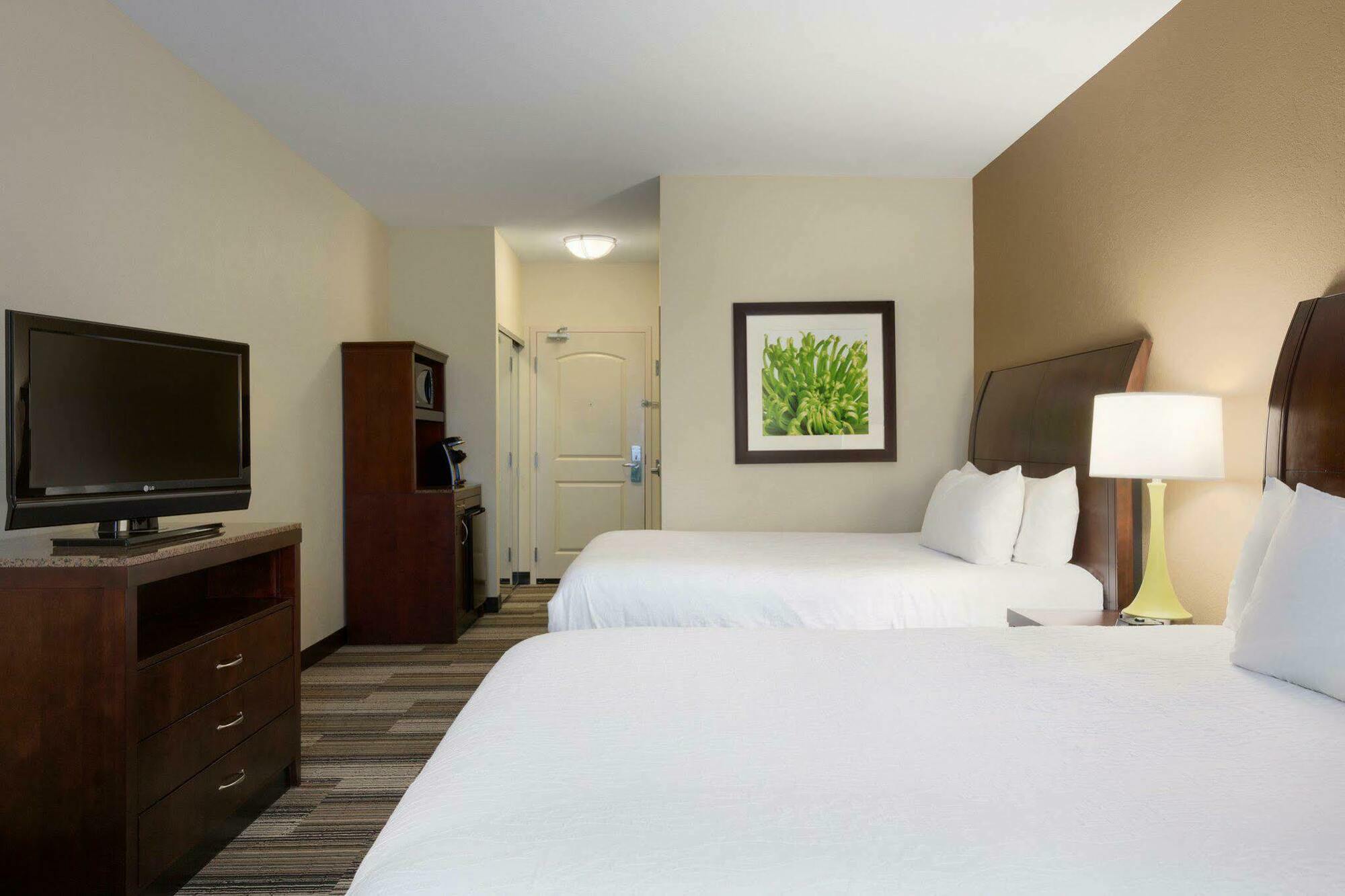Hilton Garden Inn Charlotte/מורסוויל מראה חיצוני תמונה